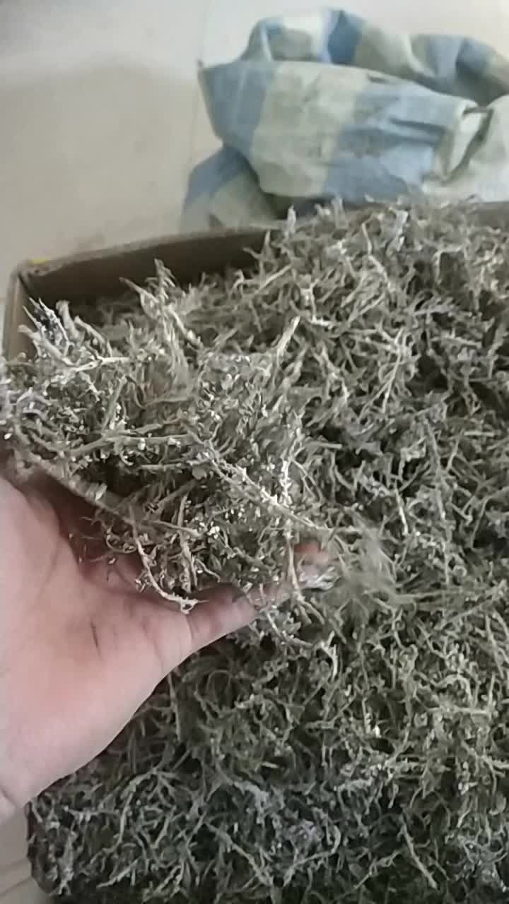 蕨菜  甘南野生鹿角菜非青海山野菜酒店用野菜大量出售