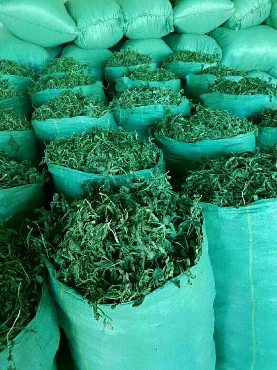 肉桂 香辛料批发