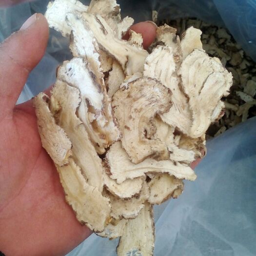 陇西县 当归精品头片