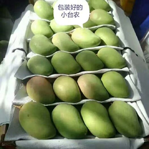 田东县 广西百色小台农
