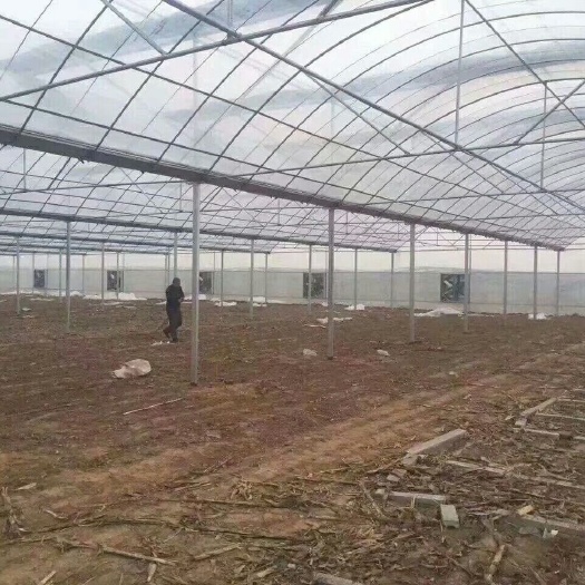 天津蔬菜大棚