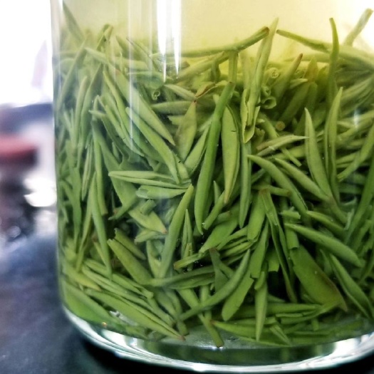 信阳毛尖茶  2024原产信阳毛尖绿茶明前茶新茶上市农家自产自销