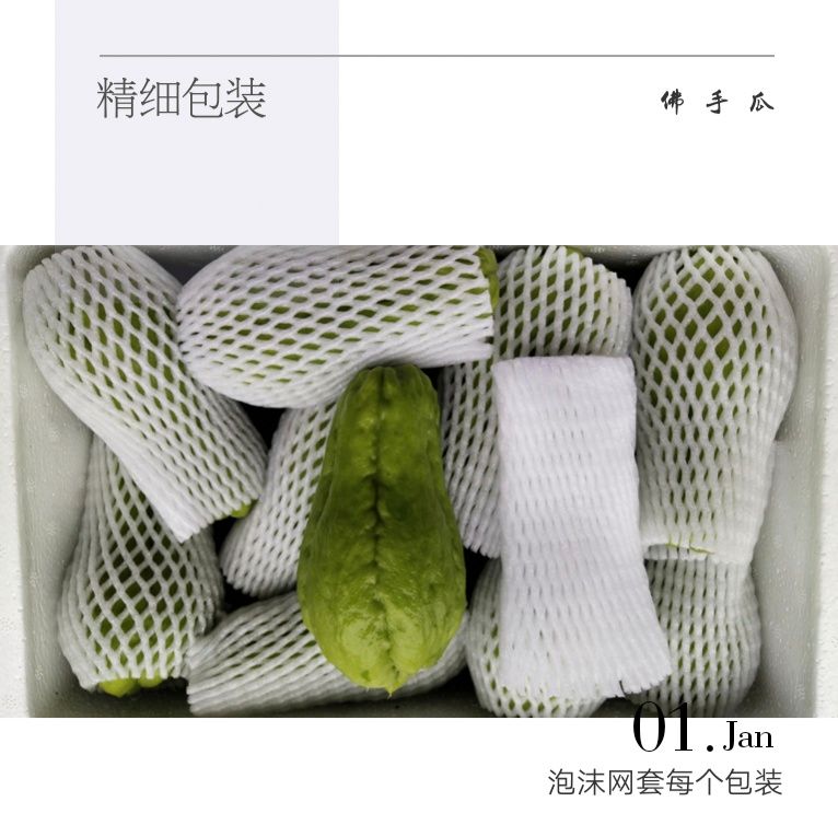 云南新鲜佛手瓜 绿色健康蔬菜产地直达现摘嫩洋瓜 代办