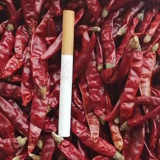 成都 印度魔鬼辣椒特辣