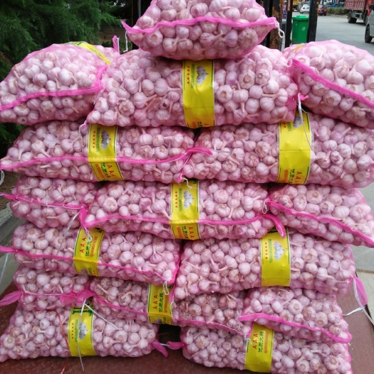 邳州市红皮蒜  世界大蒜看中国，中国大蒜看邳州大蒜，质量至上，诚信第一。