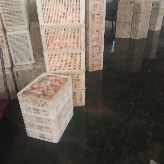 威县白条鸡 价格便宜质量好