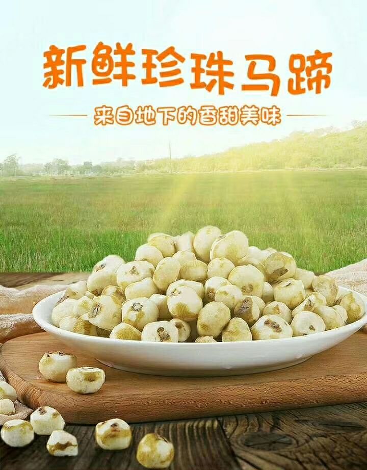  阳江市闸坡镇特产珍珠马蹄