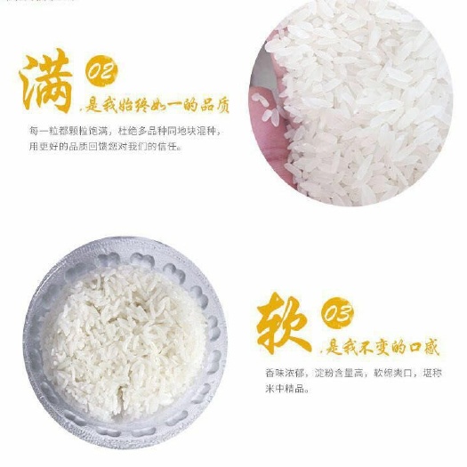  优质南方大米