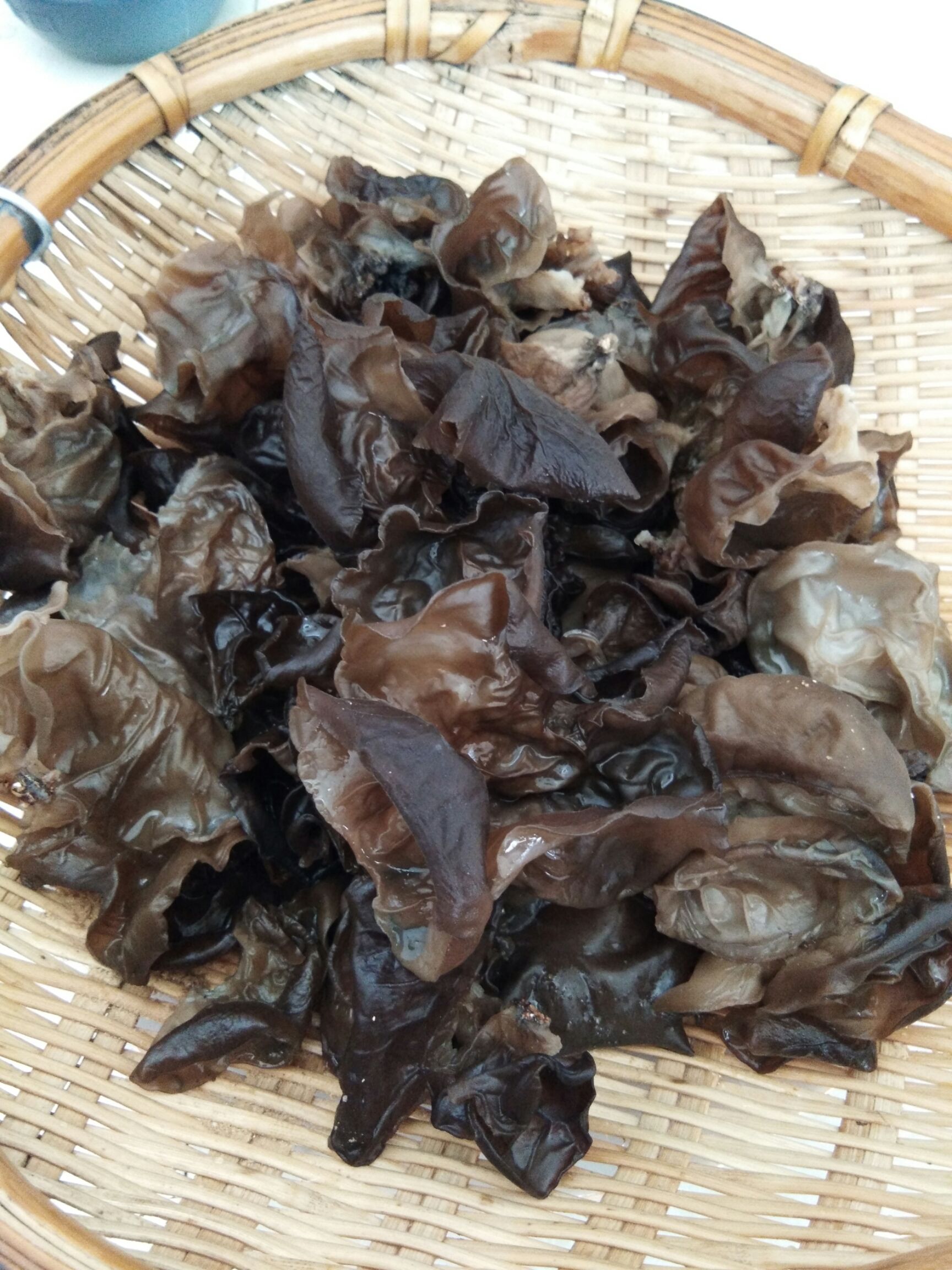 秦岭青冈栎椴木黑木耳 留坝木耳 优质椴木木耳 木耳