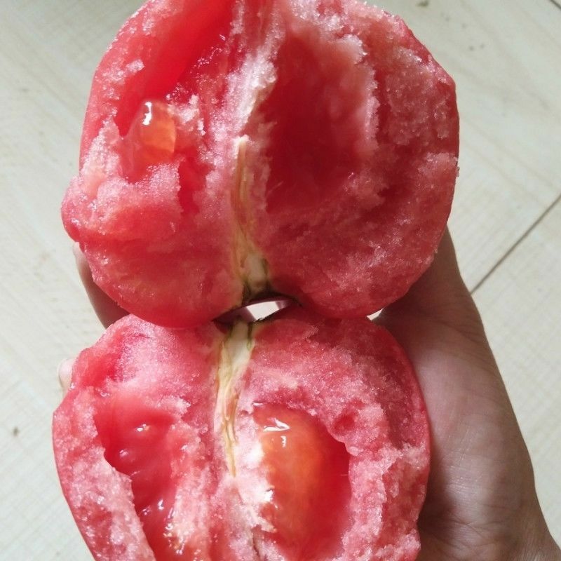 一件代发，普罗旺斯山东仓沙瓤硬粉西红柿