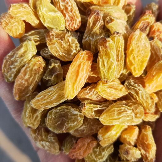 吐鲁番黄香妃葡萄干 5元