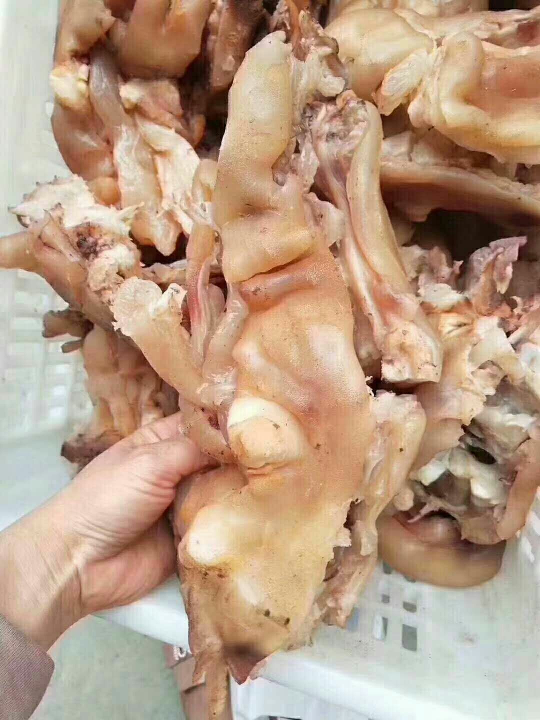 牛蹄筋