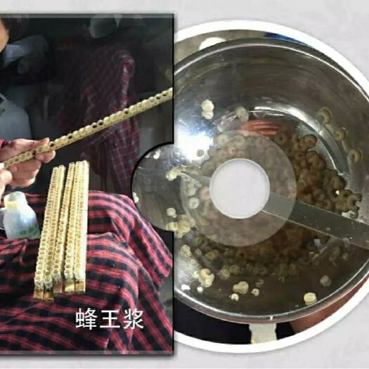 武山县 新鲜蜂王浆