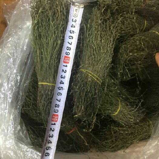 连山县独脚柑 新鲜干货 现找现卖