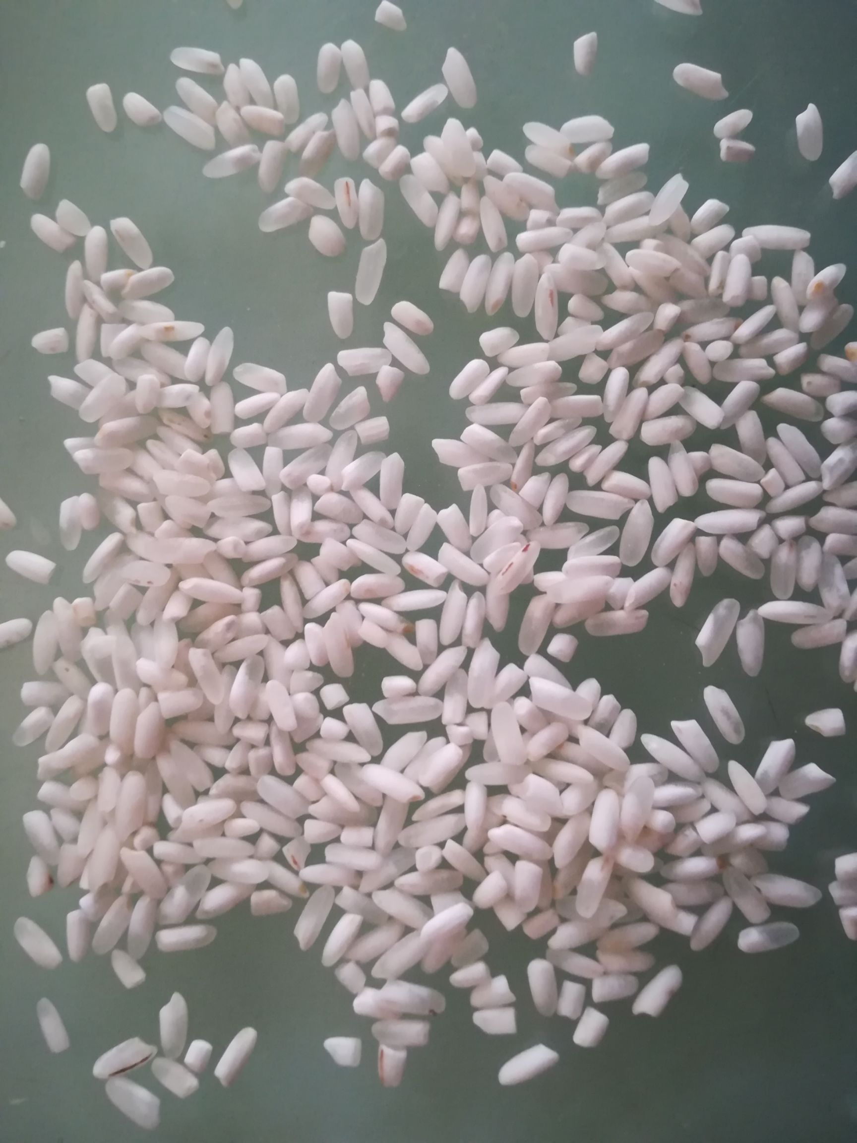 香米 二等品 晚稻 粳米