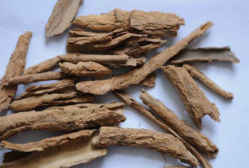 新货，地骨皮 正品！货！干净无杂！批发，零售！正品货！