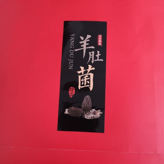 砀山县精选羊肚菌走亲访友送礼佳品