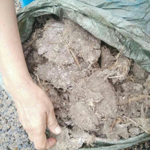 玉林纯鸡粪长期供应