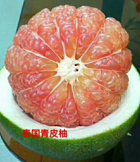 翡翠青皮柚
