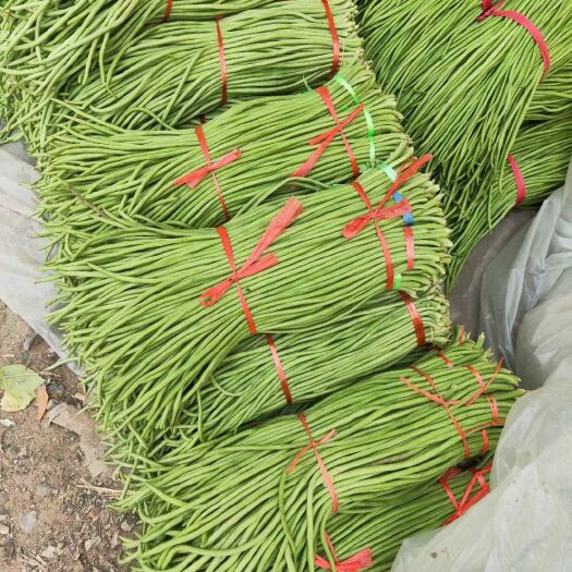 兰陵县精品长豆角