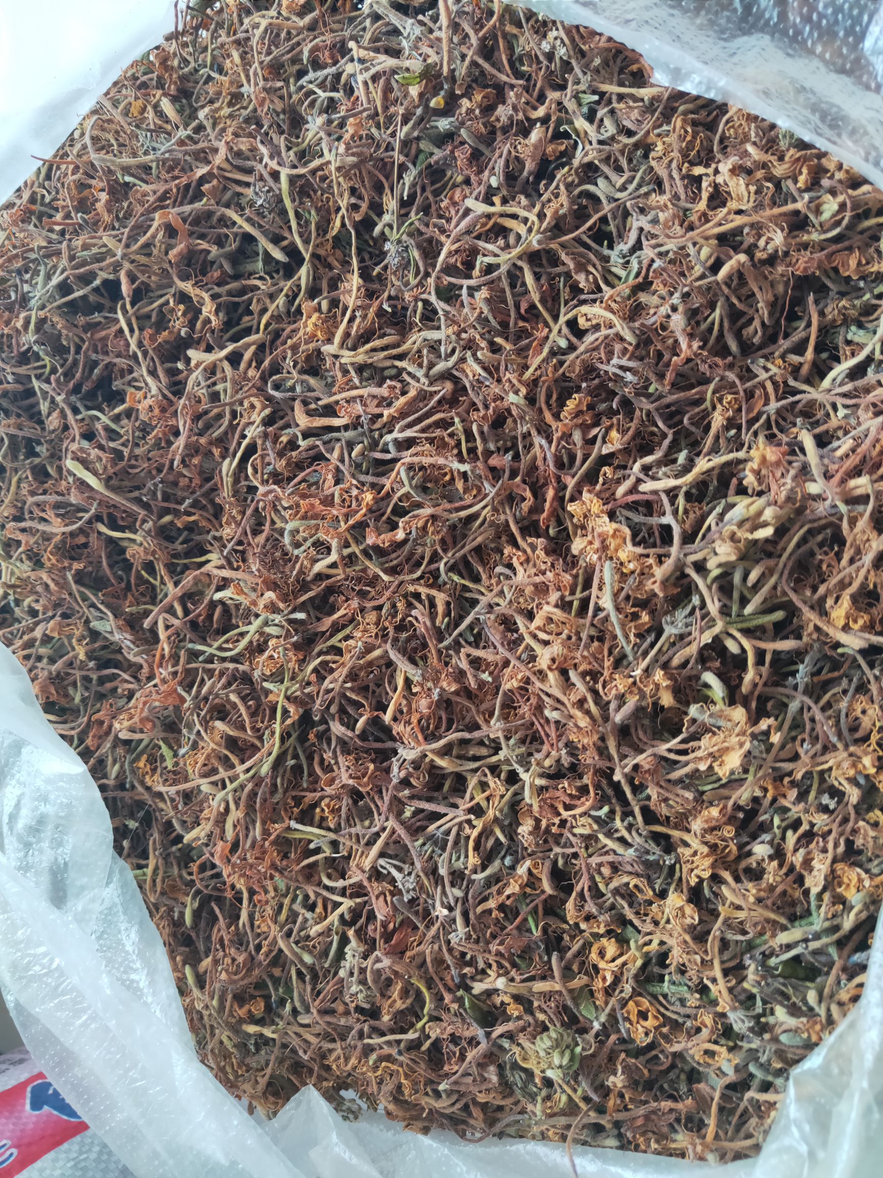 贵州货开花 贵州新花上市。欢迎各位老板前来提货