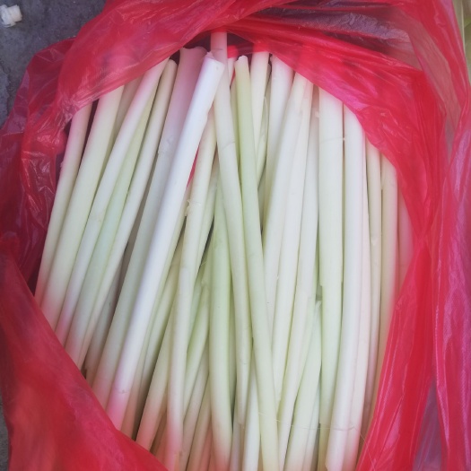 滕州市 精品蒲菜，蒲白