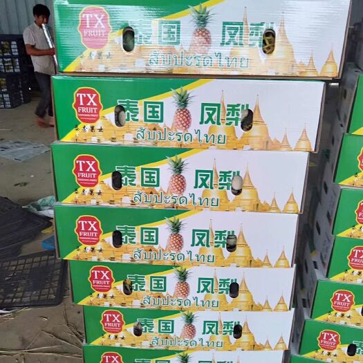景洪市凤梨 金钻十七号凤梨