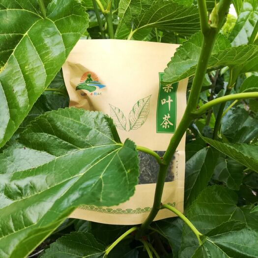 保山桑叶茶