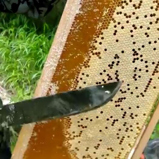 西安土蜂蜜 我说产品在好，不如你尝一口