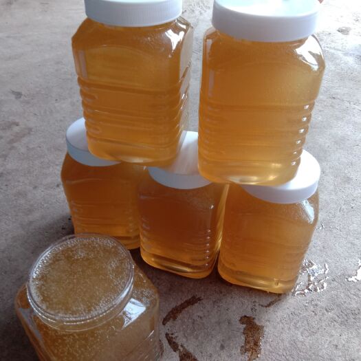 景洪市 野生大挂蜂蜂蜜。