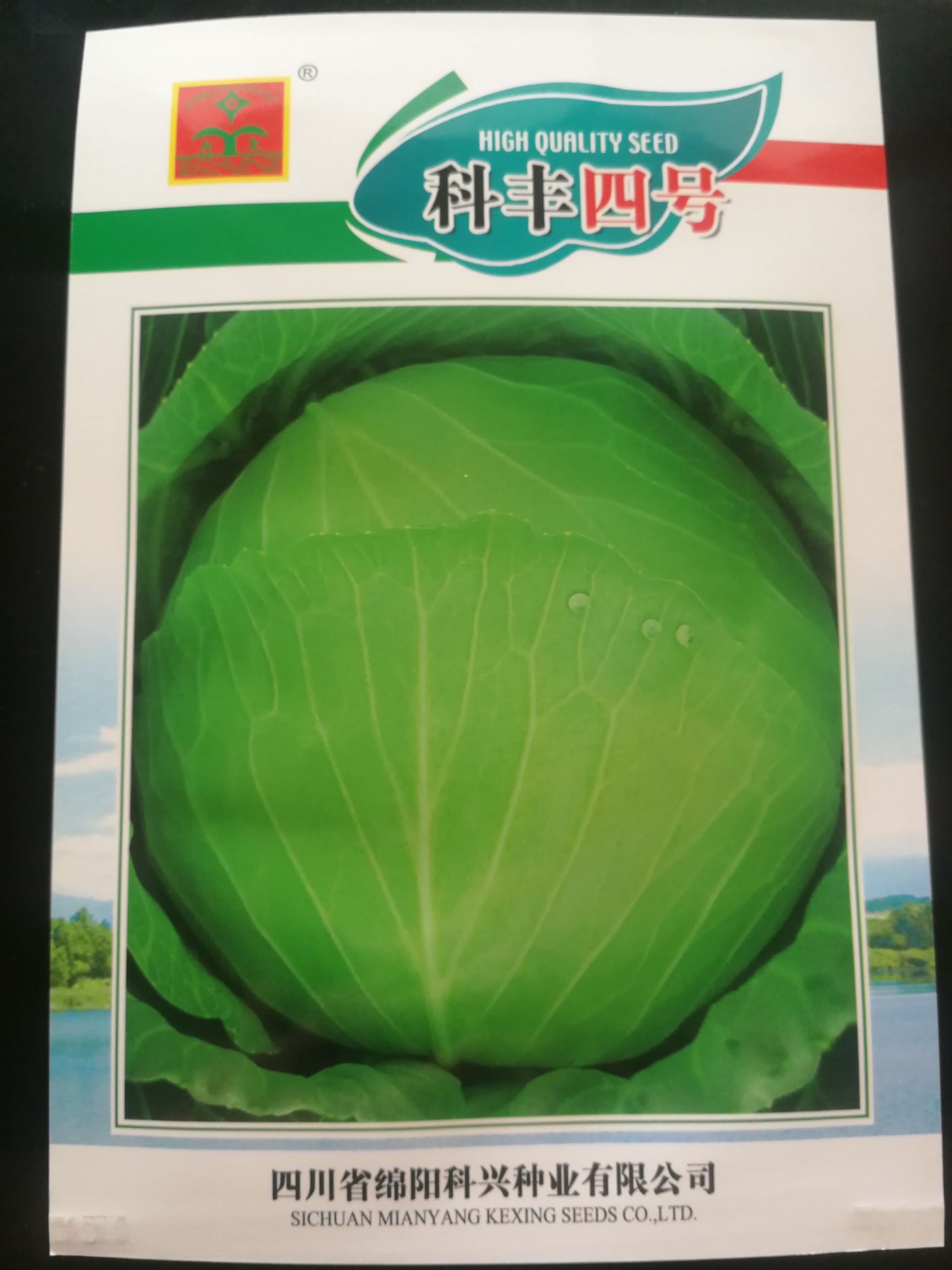 绿甘蓝种子 杂交甘蓝种子（科丰四号）