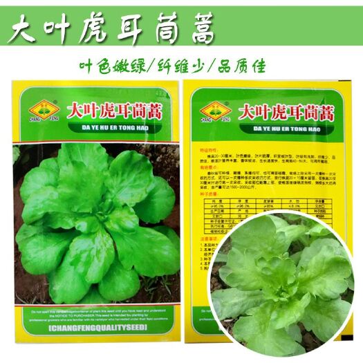 南靖县 常丰 大叶虎耳茼蒿菜种子10克 春秋季茼蒿种子批发 原装正品