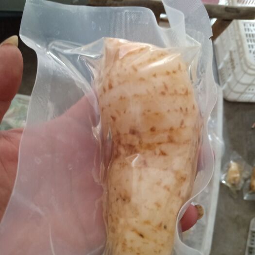 丹凤县乌红杂交天麻  鲜天麻