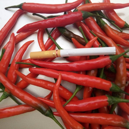 昆明小米椒 5~10cm 红色 特辣 
