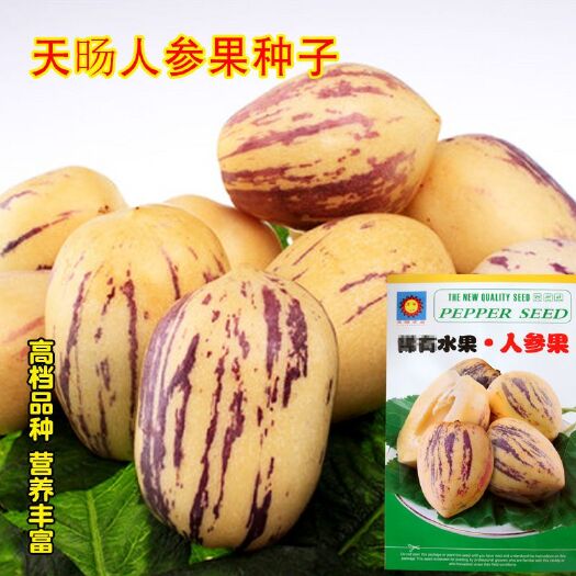 南靖县人参种苗  天旸 人参果新鲜水果 人参果花果奶香黄肉人参果种子批发 高产