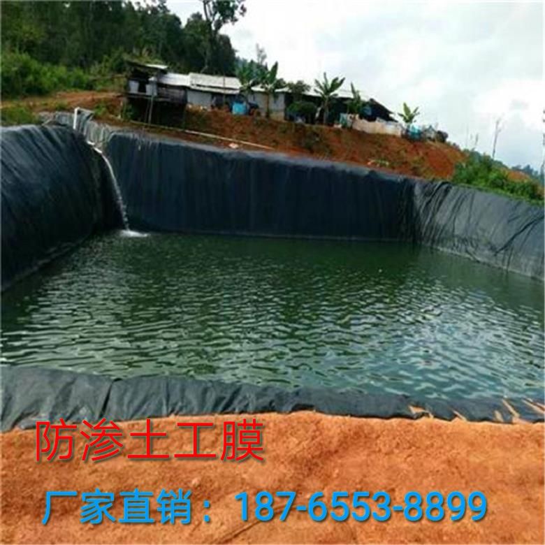  防渗土工膜，适用于小龙虾养殖，湖面护坡，蓄水池的防渗