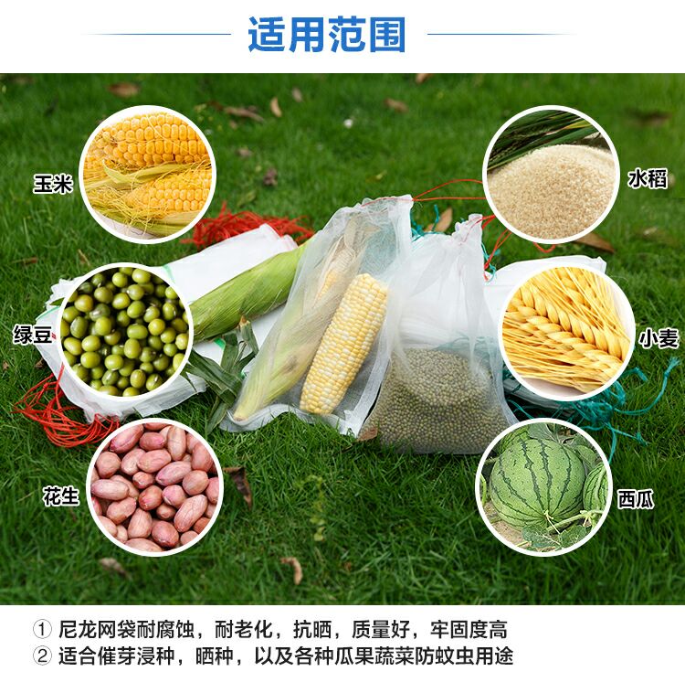 尼龙网袋纱网袋防虫袋果树套袋尼龙种子袋浸种袋火龙果防果蝇袋
