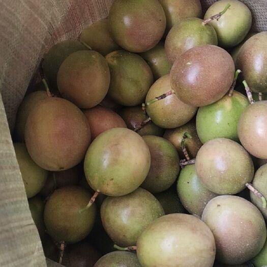 灵山县紫香一号百香果 物美价优