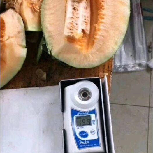 怀远县 大量出售哈密瓜