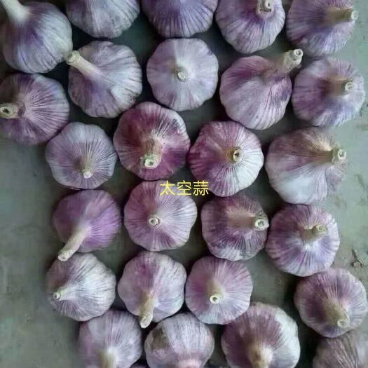 金乡县金乡大蒜 混级统货