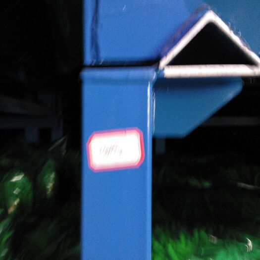 邳州市邳州蒜苔 邳州蒜薹