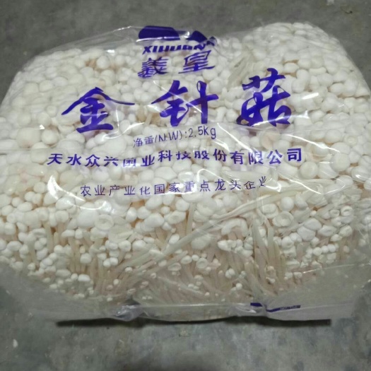 德州白金针菇 未开伞 1cm以下 10cm~13cm 二级