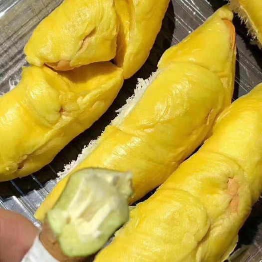 凭祥市 金枕榴莲