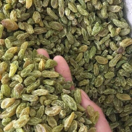 吐鲁番 吐鲁番市葡萄干