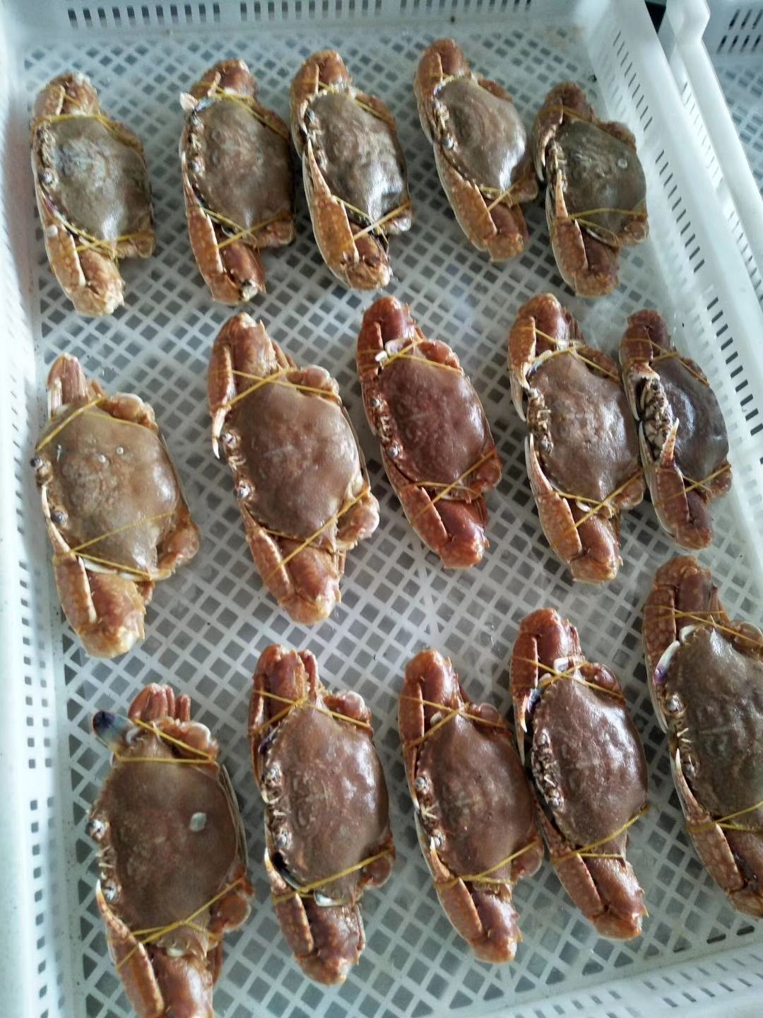 東山縣巖頭蟹  肉蟹，扁蟹