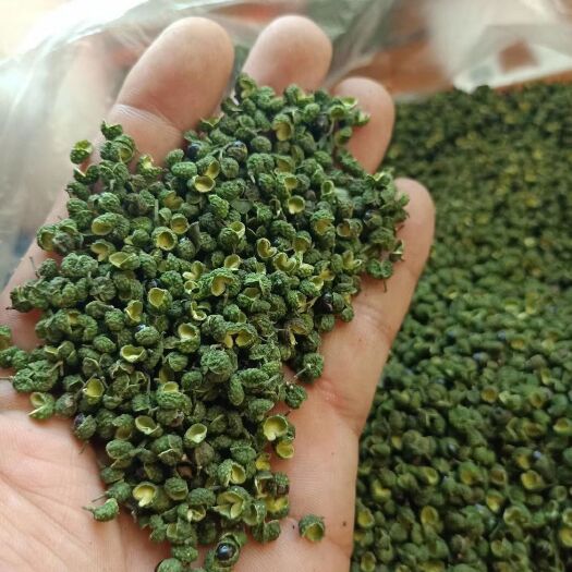 重庆市青花椒苗  青花椒干货特级