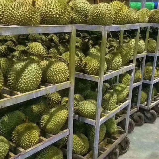 凭祥市 金枕榴莲