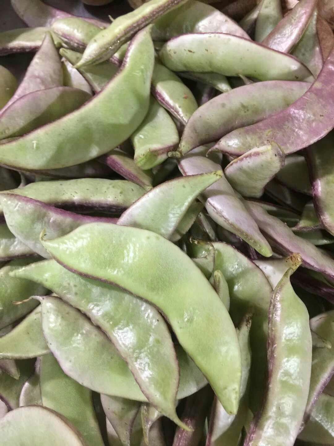 浏阳市紫扁豆  扁豆