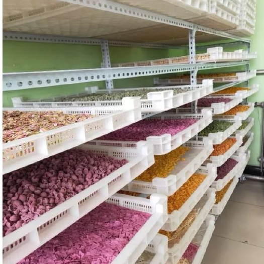 蔚县手工面 纯手工果蔬面