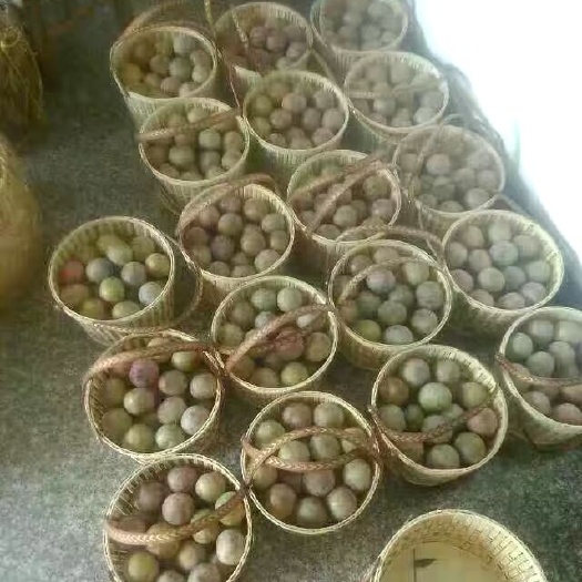 嵊州市桃形李 桃型李